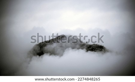 Mountain top with forest trees shrouded in rainy fog and clouds in Altai since morning. Vignetting effect