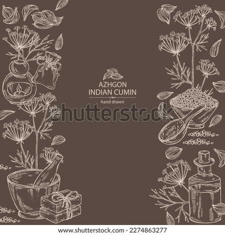 Background with azhgon, indian cumin: plant and azhgon seeds. Oil, soap and bath salt . Cosmetics and medical plant. Vector hand drawn illustration