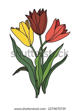 Tulip April birth month flower vector art. 