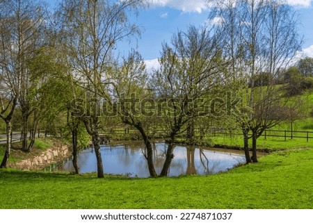 A small pond surrounded by trees near Wiesbaden - Germany in the Rheingau on a sunny spring day