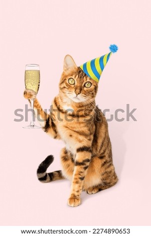 Ginger cat with a glass of champagne on a colored background. Party, celebration.