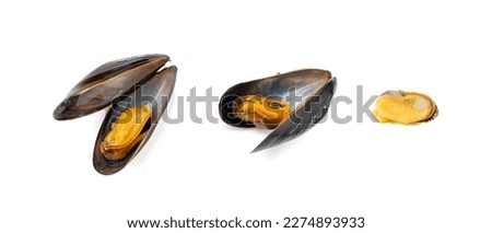 Mussels Pile Isolated, Unshelled Clam, Peeled Mussel, Open Shellfish Seafood, Mussels Meat, Cooked Shellfish, Clams on White Background Top View, Clipping Path Royalty-Free Stock Photo #2274893933