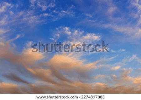 Sky fragment with pink feather clouds at sunset