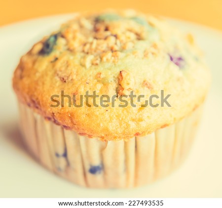 Blueberry muffin - vintage effect style picture