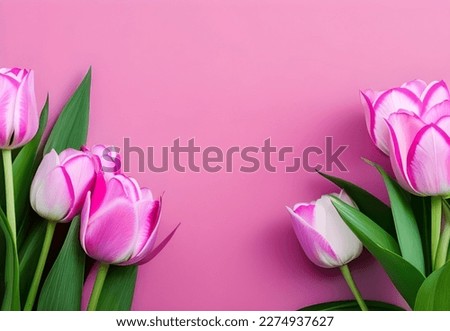 Bouquet of Pink Tulips Flowers, Mother s Day, 8 March, Happy Easter, pink background