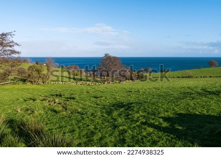 Lush, green grass and fields overlooking the sea above the Antrim Coast in Northern Ireland Royalty-Free Stock Photo #2274938325