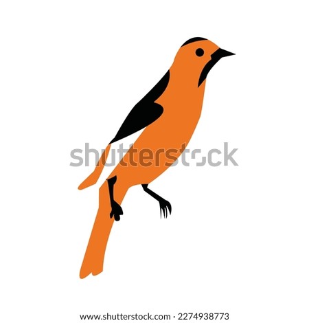 a beautiful bird vector artwork
