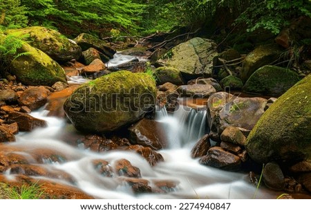 The stream flows over mossy stones. Forest stream flowing. Waterfall stream on mossy rocks. Forest waterfall stream flowing Royalty-Free Stock Photo #2274940847