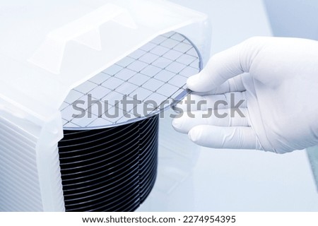 Gloved Hand Holding a Silicon Wafer in plastic holder box used in electronics for the fabrication of integrated circuits. Silicon wafer inspection. Royalty-Free Stock Photo #2274954395