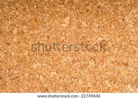 closeup of a cork surface