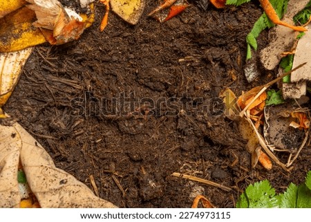 organic living compost in the detail. You can see biodegradable kitchen waste, wood ash, paper, soil and earthworms Royalty-Free Stock Photo #2274973115
