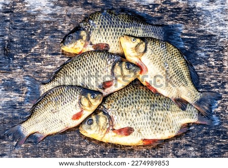 Freshwater caught crucian carps on a wooden board closeup Royalty-Free Stock Photo #2274989853