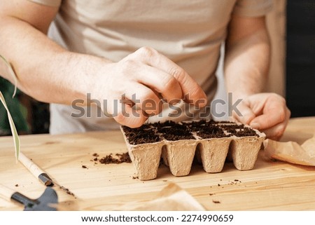 Man planting tomato seeds for seedlings at home. The man's hands put the seed into a hole in the ground. Gardening in the apartment Royalty-Free Stock Photo #2274990659