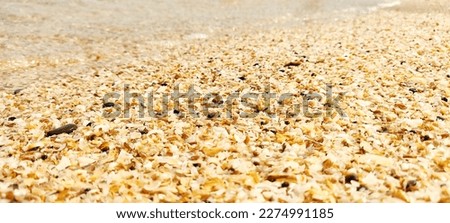 Sand, sea water on the coastline