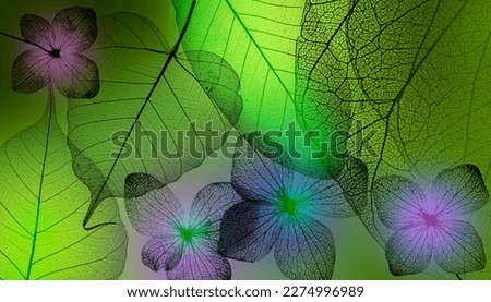 leaves skeletons with veins and cells macro photograph