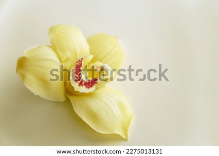 natural natural closeup orchid on yellow background. Greeting card