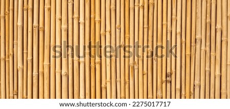 Yellow bamboo texture. Dried bamboo wall or fence background Royalty-Free Stock Photo #2275017717