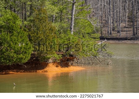 Close-up of a glowing red shoreline along the Chickamauga Lake in Harrison Bay State Park. Taken from the Bay Point Loop Trail. Horizontal Color Photo. 