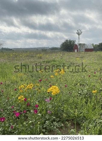 South Texas in the Spring Royalty-Free Stock Photo #2275026513