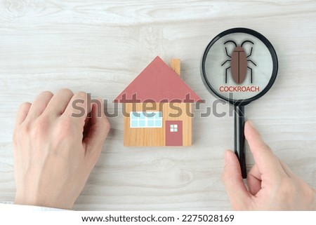 House object and human's hand using magnifying glass with cockroach clipping art