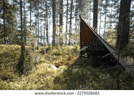 A shelter for things made of improvised materials. A makeshift tent made of fabric stretched on a stick. Spruce branches gathered in a bundle. Preparing for a hike. Royalty-Free Stock Photo #2275028683