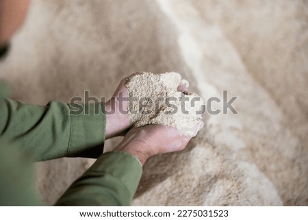 Closeup of handful of corn meal in hands of experienced farmer checking quality of livestock feed in farm storage.. Royalty-Free Stock Photo #2275031523