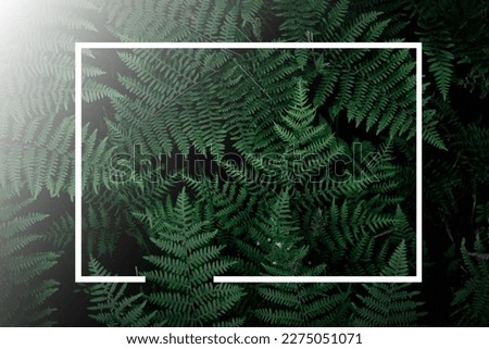 tropical tree background and white frame dark green fern wallpaper Dark green forest backdrop, nature-toned page layout background, green fern and white frame, gradation.