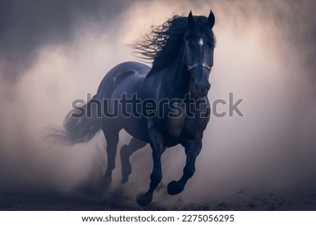horse gallops on the grass Horse running on the sand in Animal Photography and Black Royalty-Free Stock Photo #2275056295