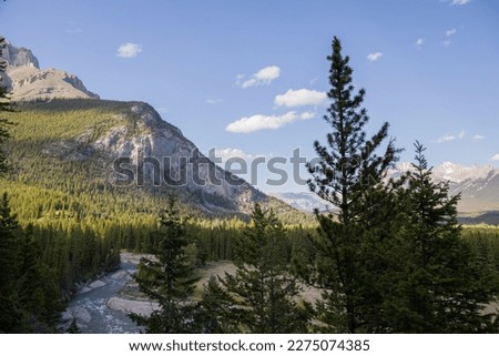 Mountain landscape . Rivers and forest in a mountain valley. Natural landscape with bright sunshine. High rocky mountains. Banff National Park, Alberta, Canada