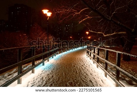 path in the night park with beautiful lighting in winter. High quality photo