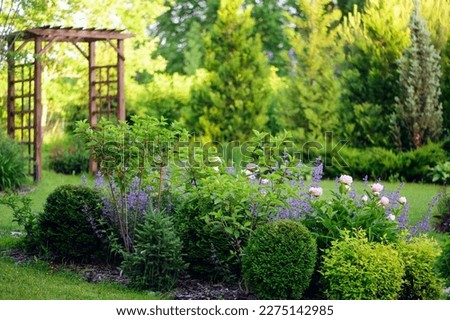 summer private Europe garden view with wooden archway, hostas, conifers and shrubs. Country living. Royalty-Free Stock Photo #2275142985