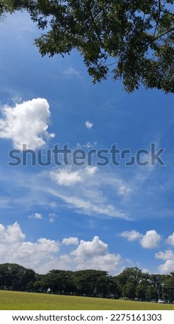blue sky with small clouds, green trees add to the beautiful contrast