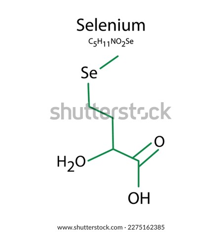 Selenium formula. Line drawing. Vector illustration. Royalty-Free Stock Photo #2275162385