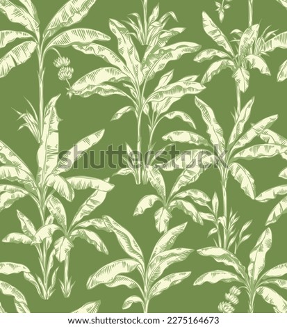 Seamless pattern with banana palms.  Tropical trees in linear style. Vector botanical illustration. Foliage design for wallpaper, textile and wrapping paper.