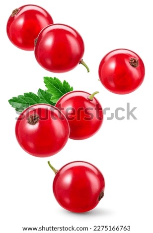 Red currant isolated. Currant red flying on white background. Perfect retouched currant berry with leaf falling on white. Full depth of field. Royalty-Free Stock Photo #2275166763
