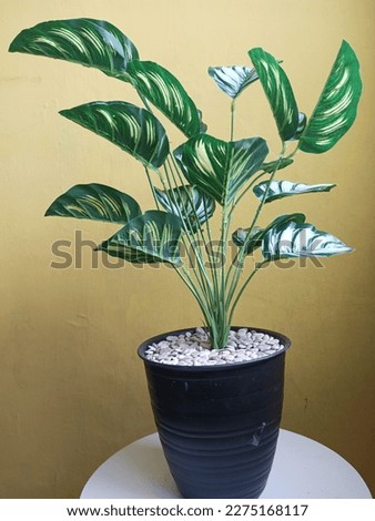 Ornamental plants made of plastic on black pots with pebbles against a yellow wall background with a white round table
