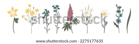 wildflower illustration clipart, vector cottagecore clip art, images in flat cartoon style, daisy, columbine, cosmos, forget me not, lupine, phlox