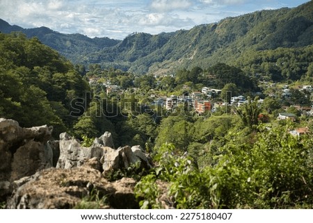 Panoramic view over the imposing valley with houses in Sagada, Philippines, enclosed by forest, hills covered with forest in the background, plants in the foreground.