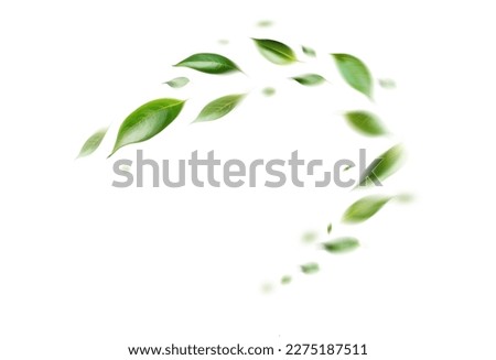 Green Floating Leaves Flying Leaves Green Leaf Dancing, Air Purifier Atmosphere Simple Main Picture on white background	