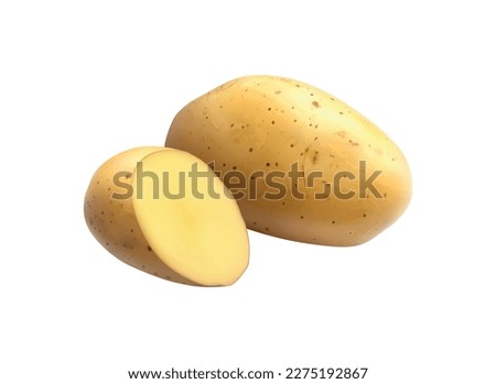 Whole and cut unpeeled raw potato on white background realistic vector illustration Royalty-Free Stock Photo #2275192867