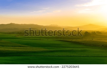 green field in countryside at sunset in the evening light. beautiful spring landscape in the mountains. grassy field and hills. rural scenery Royalty-Free Stock Photo #2275203641
