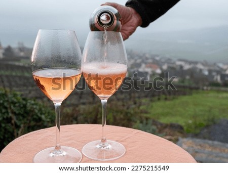 Tasting of premier cru sparkling rose wine with bubbles champagne outdoor with view on hilly pinot meunier vineyards in Hautvillers in rainy February, near Epernay, France.