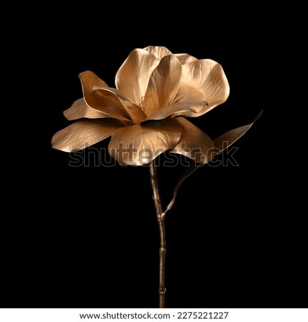 golden rose on black background.clipping path Royalty-Free Stock Photo #2275221227