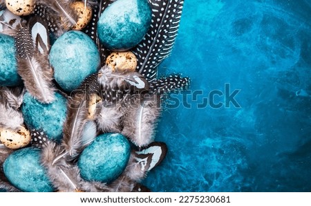 Easter blue eggs with colorful bird feathers on blue background, top view