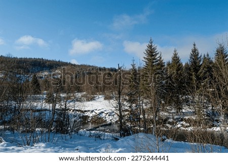 Mountain river among the snow of firs and snow-capped peaks