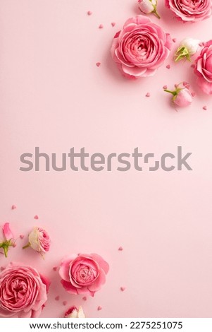 8-march concept. Top view vertical photo of fresh peony roses and sprinkles on isolated pastel pink background with copyspace