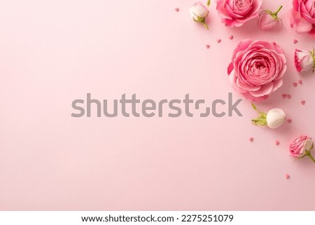Mother's Day concept. Top view photo of pink peony roses and sprinkles on isolated pastel pink background with empty space