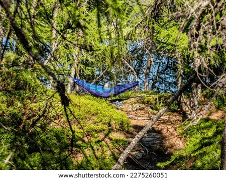 A man is reading a book in the hammock in a forest at Lake Sils-Engadine-Switzerland