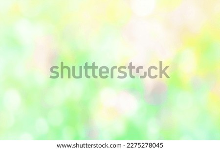 Blurred flowers foliage spring or summer abstract background. Natural defocused soft multicoloured green yellow background banner.