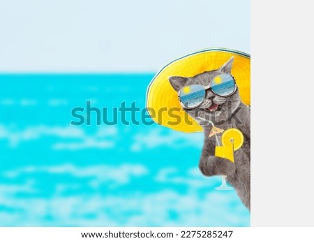 Funny cat wearing summer hat and mirrored sunglasses holds tropic cocktail and looks from behind empty white banner. isolated on white background